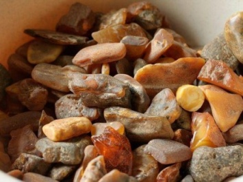 Более 340 кг янтаря изъяли в Житомирской области