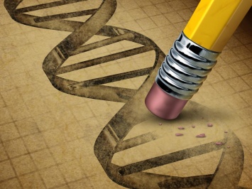 В США одобрили проведение первого эксперимента по редактированию генома человека