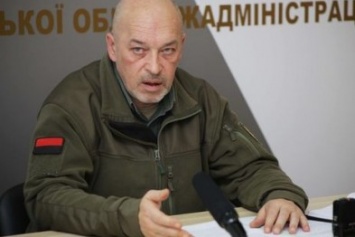 Тука: В самом факте принятия закона о выборах на Донбассе я не вижу ни криминала, ни зрады