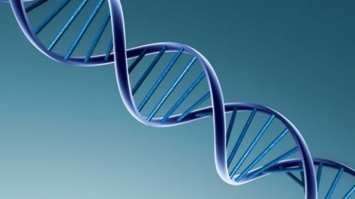 Для борьбы с онкологией в США разрешили редактировать геном человека