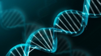 Ученые: Гены продолжают жить даже после смерти человека