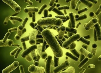 Ученые: Геноцид микробов назвали причиной болезней человека