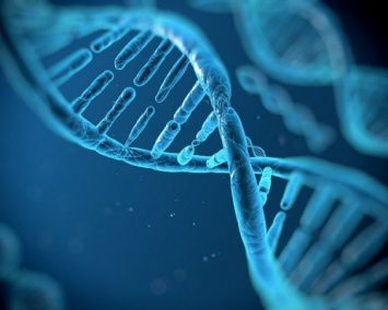 Ученые: Больше тысячи генов остаются активными после смерти