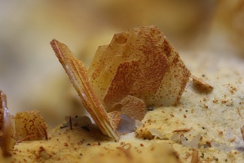 На поверхности Марса обнаружен «земной» минерал тридимит