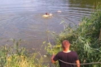 В Покровске (Красноармейске) в пруду утонул мужчина