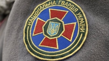 В Нацгвардии заявляют, что "Азов" и "Донбасс" не выдвигались на передовую в зону АТО