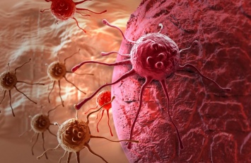 Ученые рассказали о распространении рака в организме человека