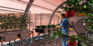 Ученые: Выращенные на Марсе овощи безопасны для человека