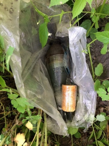В кустах посреди Хмельницкого нашли боеприпасы (фото)