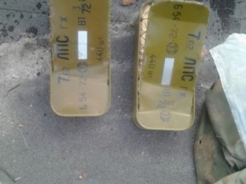 Схрон с гранатометами и боеприпасами обнаружили на окраине Житомира