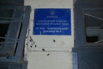 Одесскую многоэтажку атакуют гигантские черные тараканы: их сотни (ФОТО)