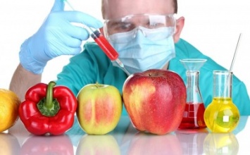 Госдума запрещает выращивание продукции с ГМО в России
