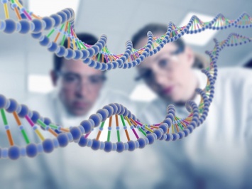 Ученые: Мужская митохондриальная ДНК самоликвидируется после оплодотворения яйцеклетки