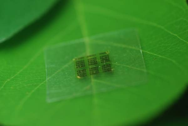 Разработан деревянный микрочип в США