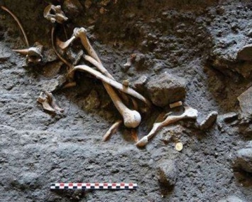 При раскопках древнего магазина Помпеи нашли скелеты и монеты