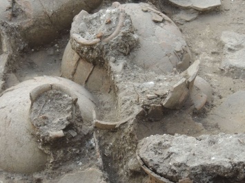 Ученые обнаружили в Греции следы древнейшего в мире вина