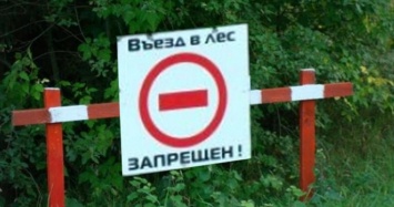 Жара в Крыму: МЧС запретило ходить в лес на 21 день
