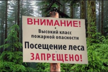 В Крыму временно закрыли леса для отдыхающих