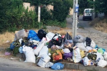 "Вывалить перед входом в мэрию": херсонцы возмущены остановками, утопающими в мусоре