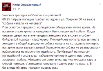 В Киеве стаф-терьер откусил женщине руку. Полиция пристрелила собаку