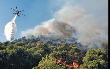 Гослесагентство допускает большие лесные пожары и страшные экологические последствия