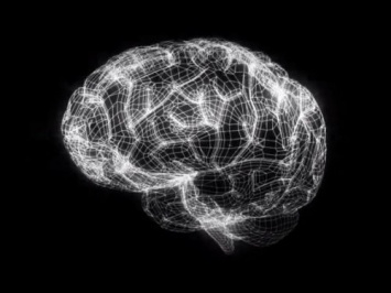 Установлено влияние химических изменений в мозге на развитие болезни Альцгеймера