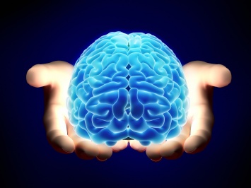 Ученые: Химические изменений в мозге приводят к болезни Альцгеймера