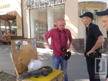 Полиция спасла крокодила от фотографа с Дерибасовской