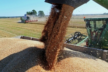 Рекордный урожай в России: Доходы от экспорта зерна превышают выручку от продажи оружия