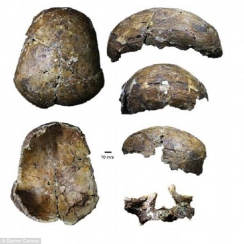 Ученые обнаружили 37 000-летний череп, способный переписать историю