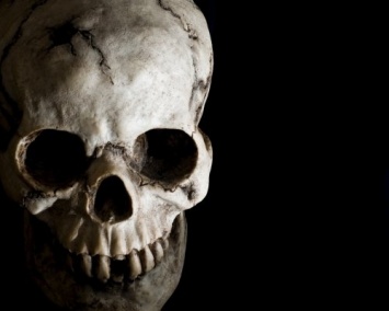 Палеонтологи рассказали о тайнах черепа из Большой пещеры Ниа