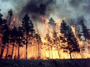 Крупный лесной пожар в Приангарье продолжает разрастаться