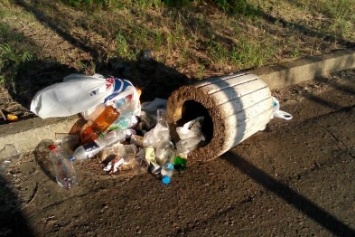 Пляжи Днепра: мешки с мусором и пивные бутылки на Монастырском (ФОТО)