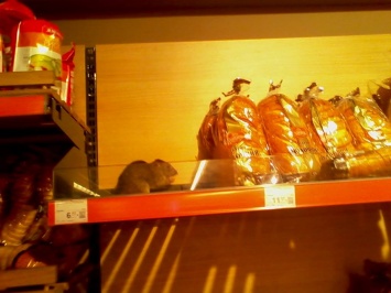 В супермаркете "Сильпо" на Оболони вместе с хлебом нашли крысу