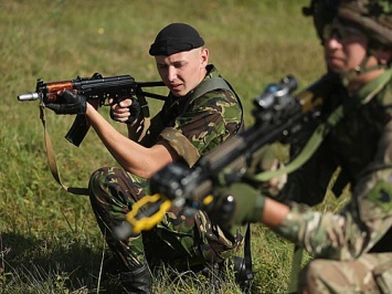 В Украине начались масштабные военные учения с участием США и стран-союзников