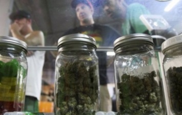 В Калифорнии собрали подписи за легализацию марихуаны