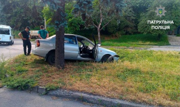 Пьяный водитель на скорости "припарковался" под елкой (ФОТО)