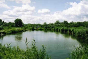 В пруду на Черниговщине утонул 49-летний мужчина