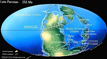 Палеонтологи заявили о неизвестной ранее экологической катастрофе на Земле