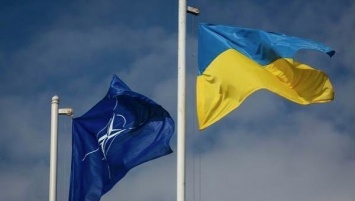 В НАТО сообщили, в какие сроки Украина может стать членом альянса