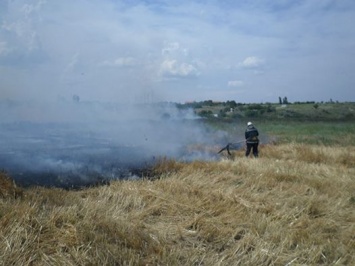 За сутки на Николаевщине зафиксировано 15 случаев возгорания сухостоя в открытой местности