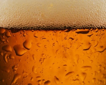 Ученые: Древние люди расплачивались за работу пивом