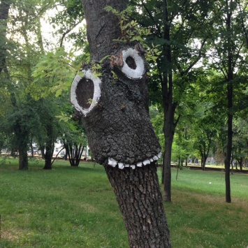 В Днепре появилось улыбающееся дерево
