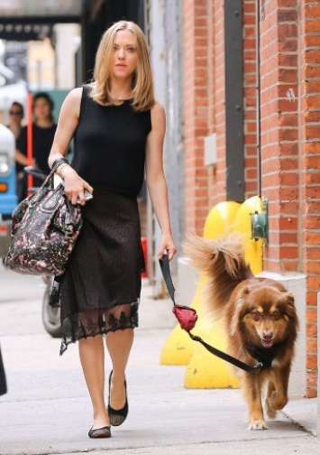 Аманда Сейфрид прогулялась вместе со своей собакой