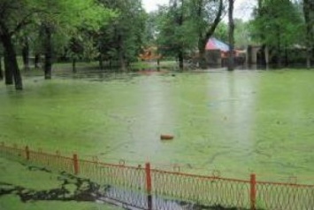 В Луганске и "ЛНР" запретили купаться в водоемах