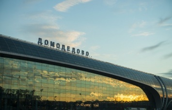 В «Домодедово» успешно приземлился самолет, в двигатель которого попала птица