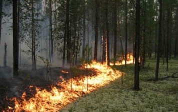 В Киеве с 1 по 3 июля ожидается чрезвычайная пожарная опасность