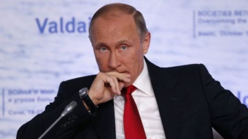 Деятельностью Путина по-прежнему довольны больше 80% россиян
