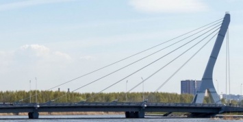 В Санкт-Петербурге мужчина утонул под мостом Кадырова