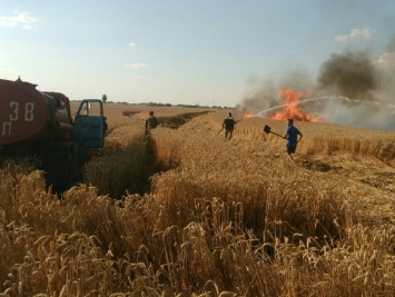 В Одесской области горело поле пшеницы (фото)
